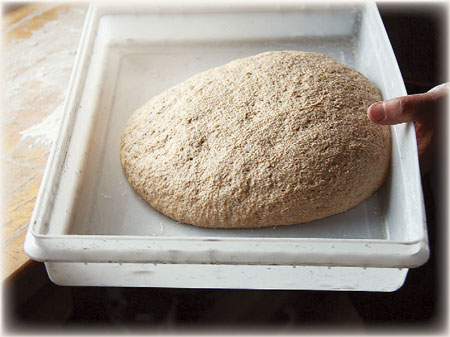Fresh-Milled Whole Wheat Bread Recipe