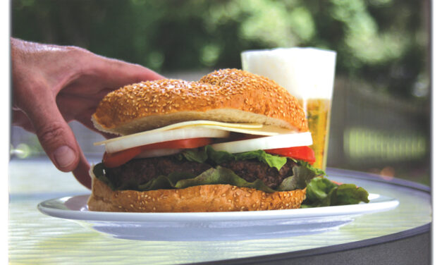 A Guy, A Beer, and A Burger: a cautionary tale of food safety