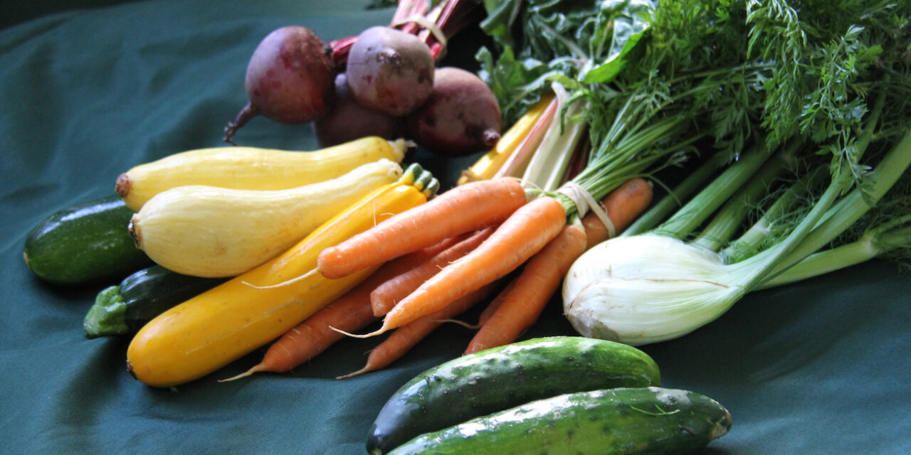 A Roundup of CSAs on the South Shore and South Coast of Massachusetts