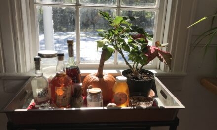 Pumpkin-Infused Bourbon