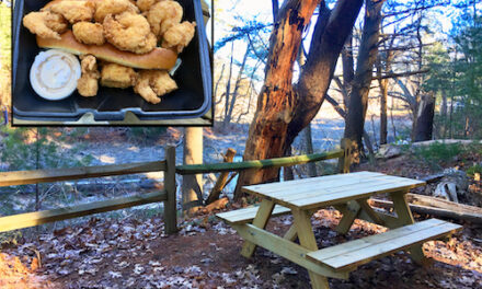 PICNIC LUNCHBREAK: Enjoying Takeout from The Anchor restaurant at Cow Tent Hill Preserve, Duxbury