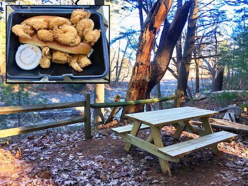 PICNIC LUNCHBREAK: Enjoying Takeout from The Anchor restaurant at Cow Tent Hill Preserve, Duxbury