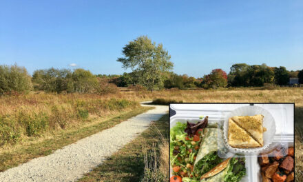 PICNIC LUNCHBREAK: Enjoying Takeout from Yaz’s Table at the Griffin Dairy Farm, Abington