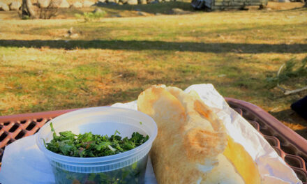 PICNIC LUNCHBREAK: Takeout from Adam’s Falafel in Hanover at the Herring Run Park in Pembroke