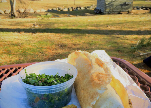 PICNIC LUNCHBREAK: Takeout from Adam’s Falafel in Hanover at the Herring Run Park in Pembroke
