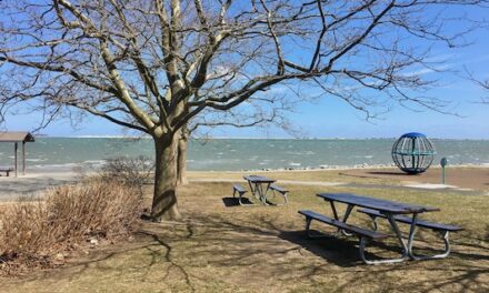 PICNIC LUNCHBREAK: Roll Street Tavern At Nelson Memorial Park Plymouth