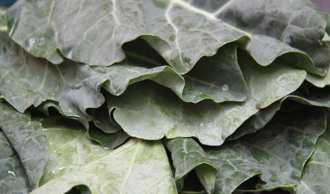Crazy for Collards