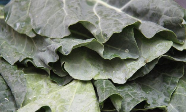 Crazy for Collards