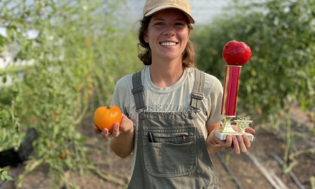 Freedom Food Farm Grows Award Winning Tomato – Raynham MA