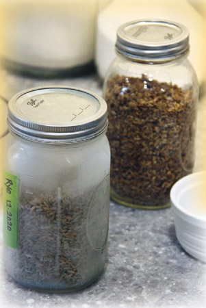 Mulling Milling: Whole Grains in the Kitchen