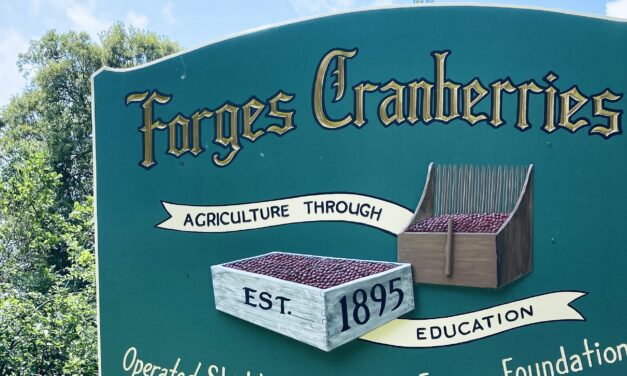 Forges Cranberries: A Story of Resurrecting Local Land for Legacy Cranberry Growers