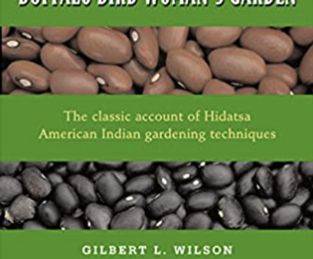 Husking Corn : Buffalo Bird Woman’s Garden by Gilbert L. Wilson