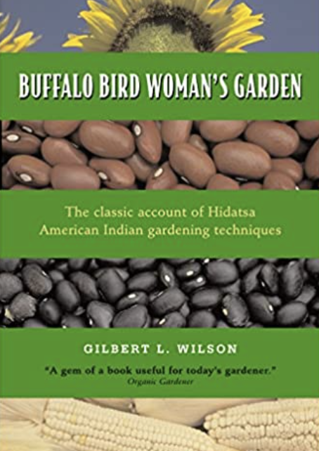Husking Corn : Buffalo Bird Woman’s Garden by Gilbert L. Wilson