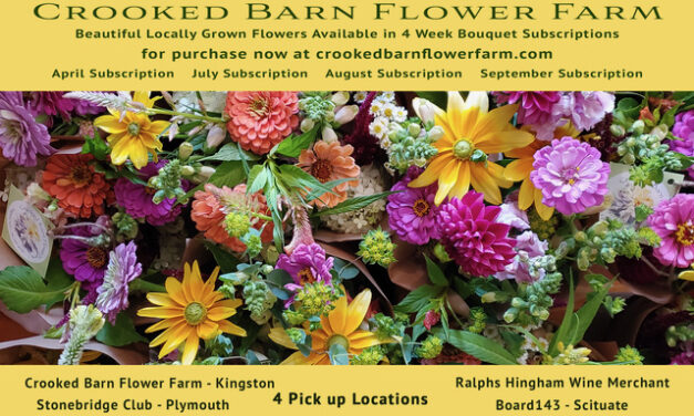 Crooked Barn Flower Farm