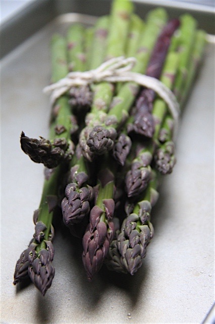 Plant Asparagus as soon as soil can be worked