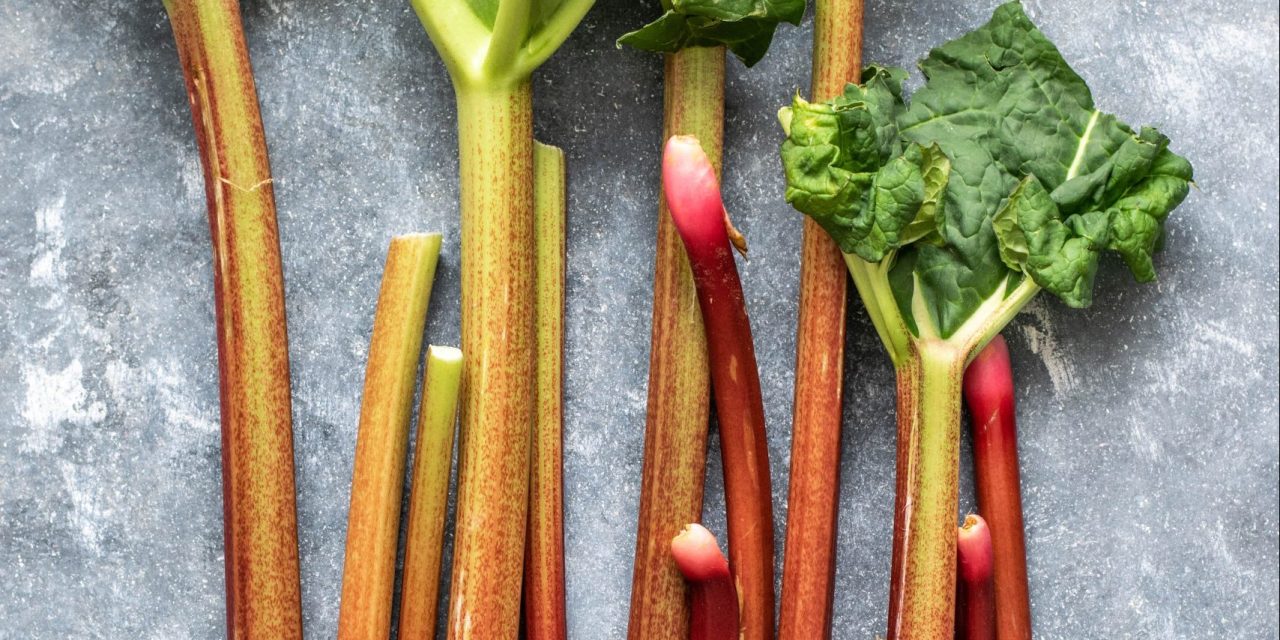 Learning to Love Rhubarb: the earliest spring vegetable