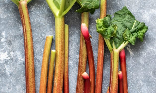 Learning to Love Rhubarb: the earliest spring vegetable