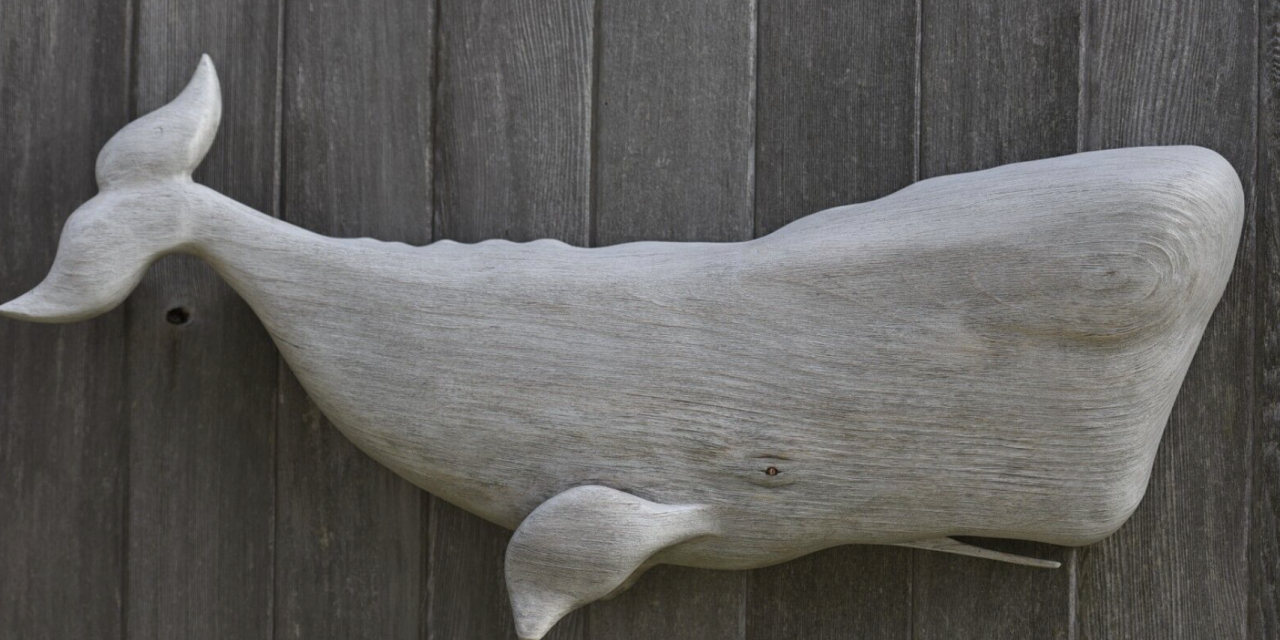 Whale and Dolphin Conservation launches fundraising a Auction with Local Artist!