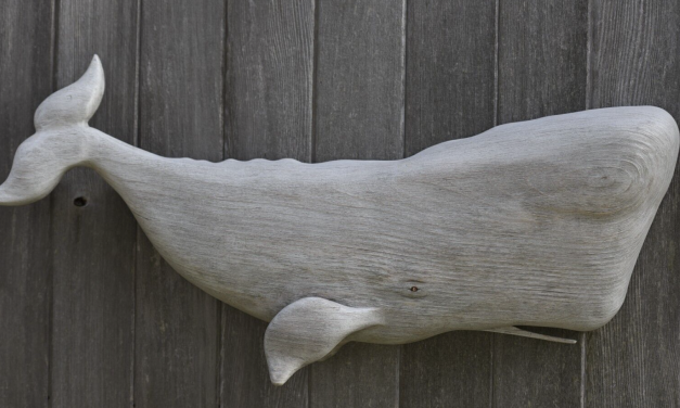 Whale and Dolphin Conservation launches fundraising a Auction with Local Artist!