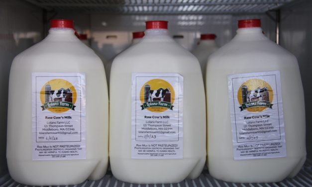 Lolans Farm Brings Raw Milk Back to Plymouth County Massachusetts