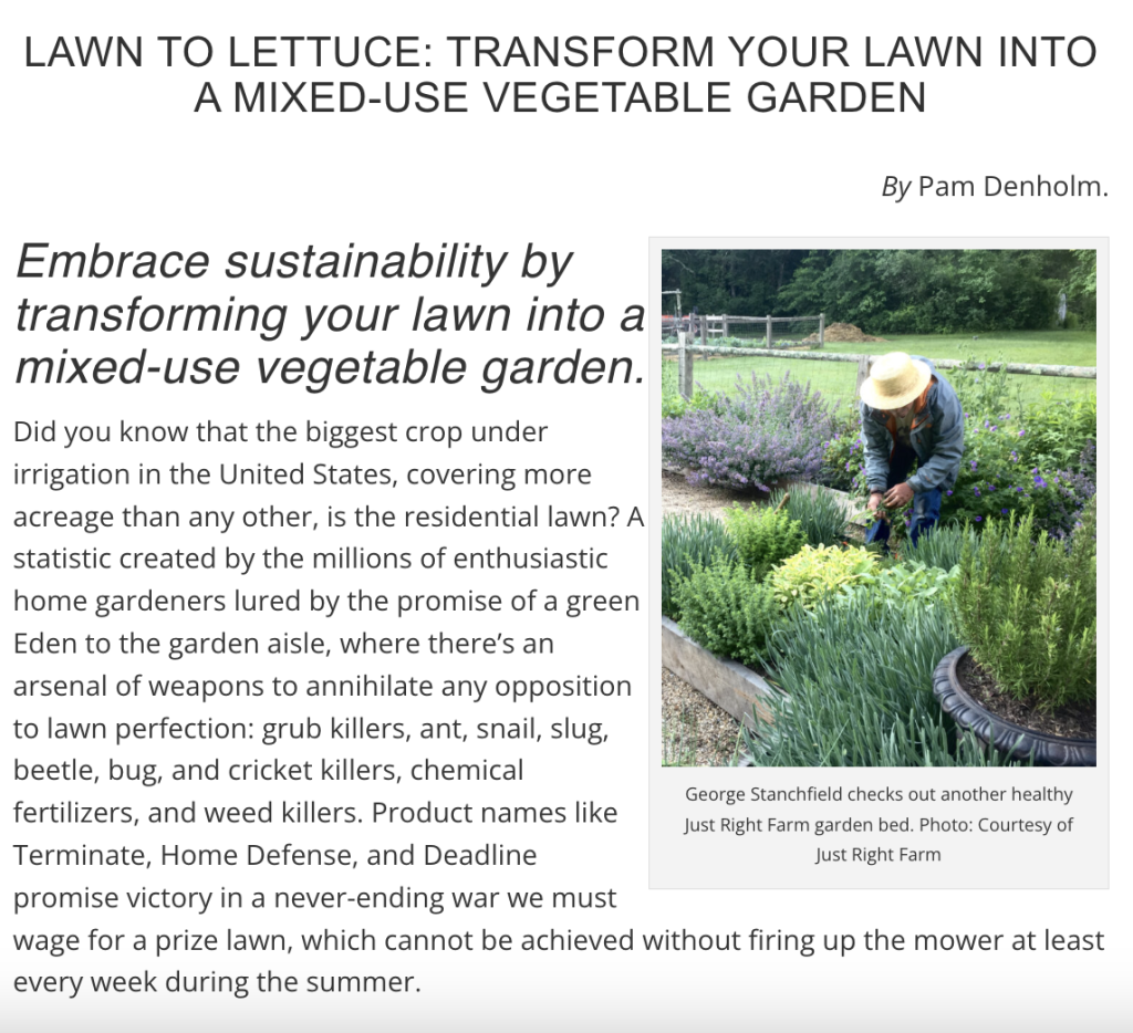 Turn your lawn into a vegetable garden