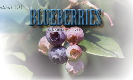 Ingredient 101: Blueberries