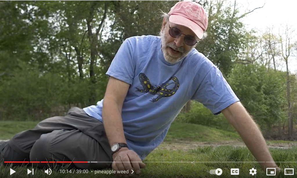 Virtual Foraging with Russ Cohan