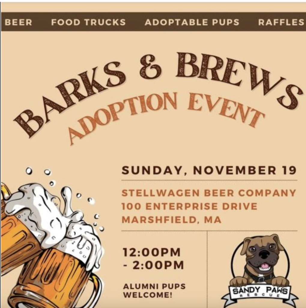 Barks & Brews Adoption Event, Stellwagon Brewery, Marshfield
