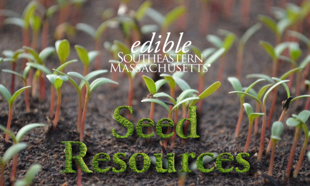 Resource List : Get your Garden Started: Local Nurseries, Seeds, Books, etc