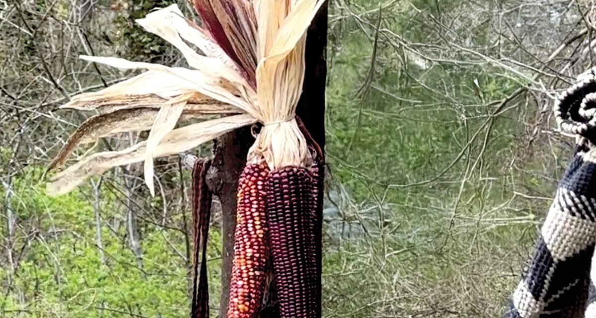 The Three Sisters Garden and Indigenous Wisdom