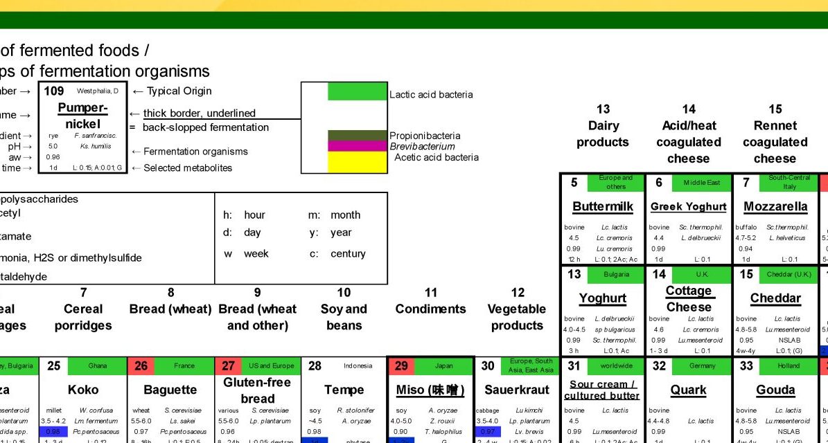Periodic Table of Fermented Foods