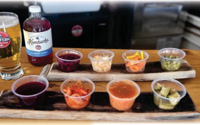 Discover Plymouth’s Unique Fermentation Flight Experience