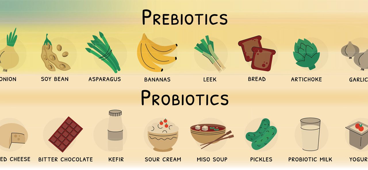 Health Benefits of Fermented Foods: Why Gut Health Matters