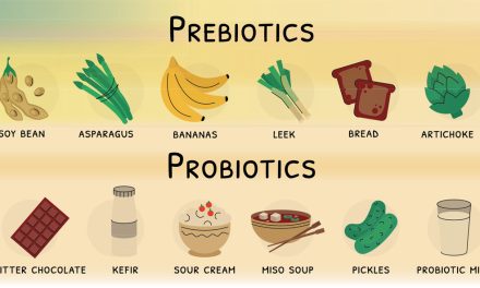 Health Benefits of Fermented Foods: Why Gut Health Matters
