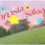 Ambrosia/Salad